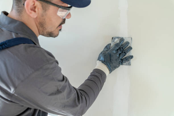 Best Drywall Removal and Disposal  in Waco, TX